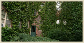 Courtyard in Summer - Fair Oaks Apartment Homes