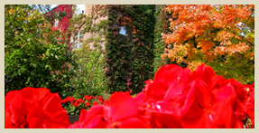 Beautiful Fall Colors - Fair Oaks Apartment Homes