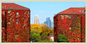 View of Downtown Minneapolis from Courtyard - Fair Oaks Apartment Homes