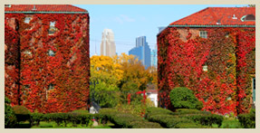 Apartments Twin Cities - Minneapolis, MN